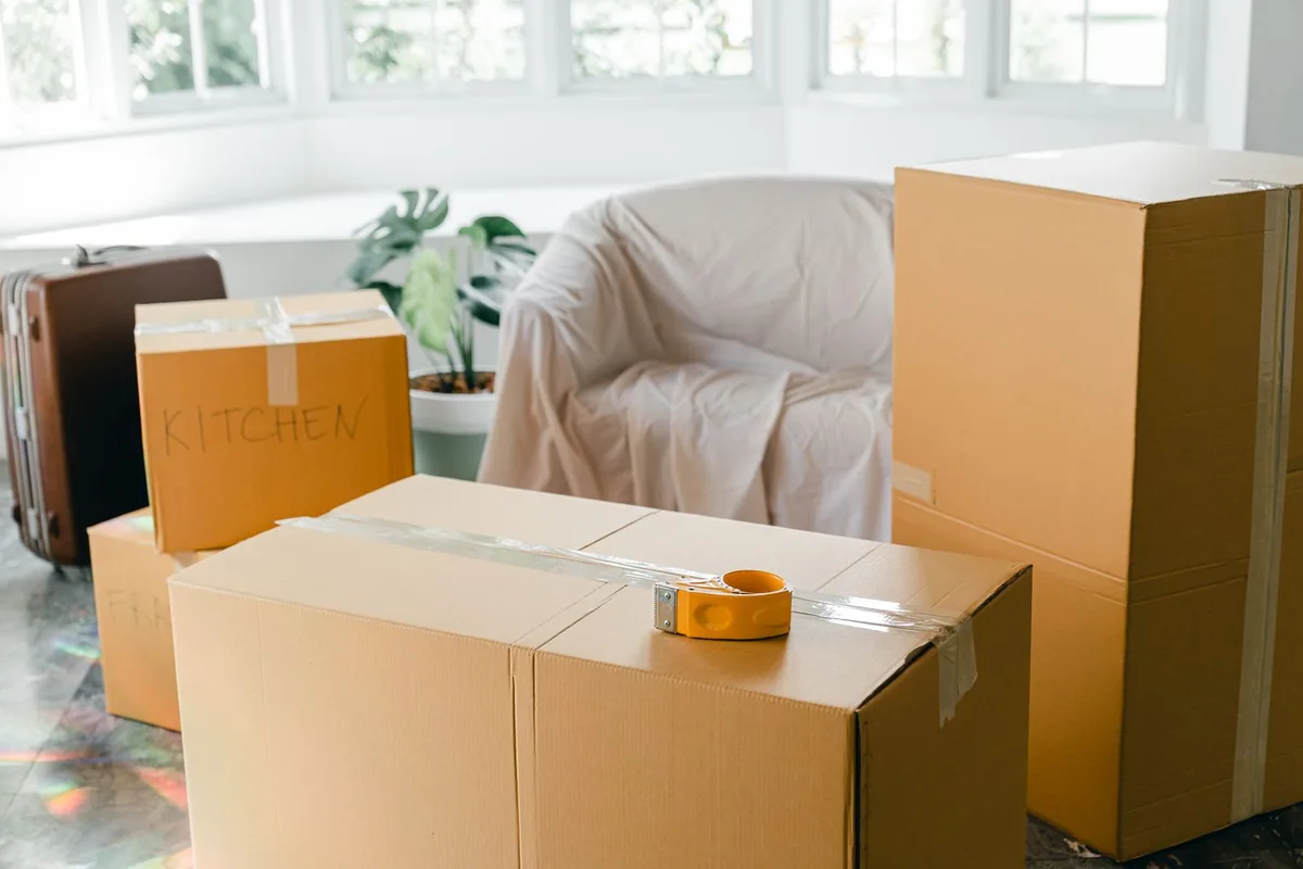 Hoarding Cleanup in Tremont, New York, NY
